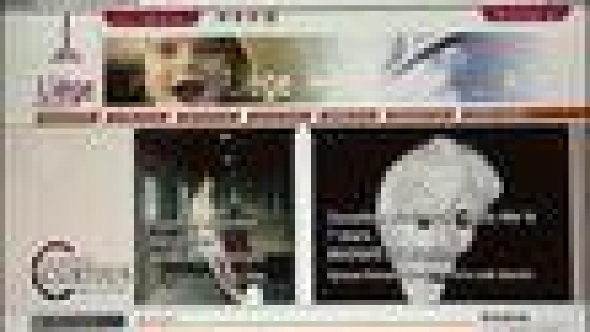 le Grand Curtius a son site